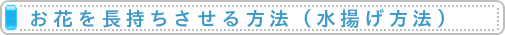 お花を長持ちさせる方法（お花の水揚げ方法）
