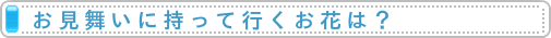 お見舞いに持って行くお花