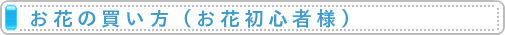 お花の買い方（お花初心者様）