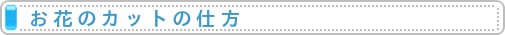 お花のカットの仕方