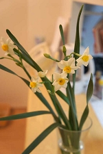 超初心者様の生け方