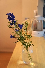 スーパーグランブルー