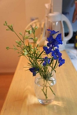 スーパーグランブルー