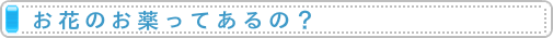 お花のお薬