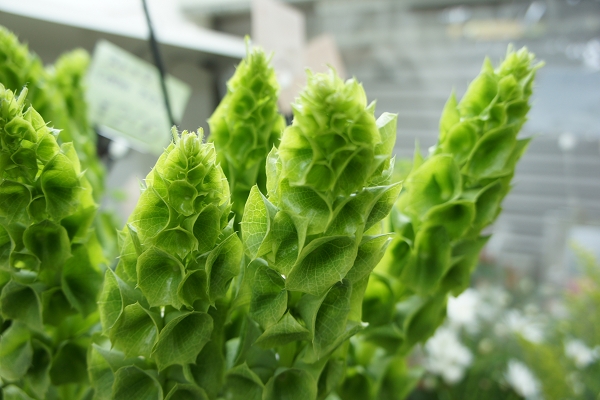 感謝の気持ちは大切に。。。