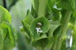 感謝の気持ちは大切に。。。