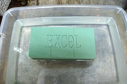 フローラルフォーム（オアシス）