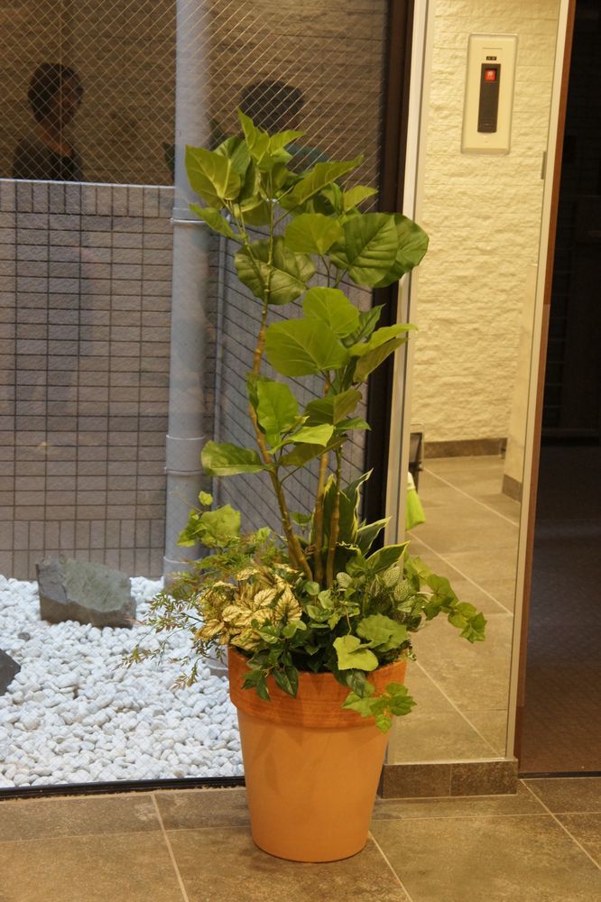 ウンベラータの寄せ植え　アーティフィシャルフラワー　造花