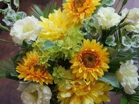 お店のディスプレイ