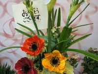 水仙とアネモネ　お誕生日用