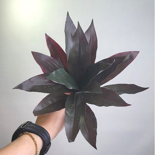 葉もの制作の流れ