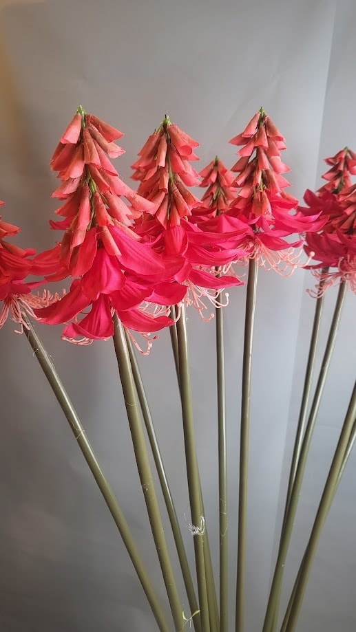 デイゴの花　造花　西宮市