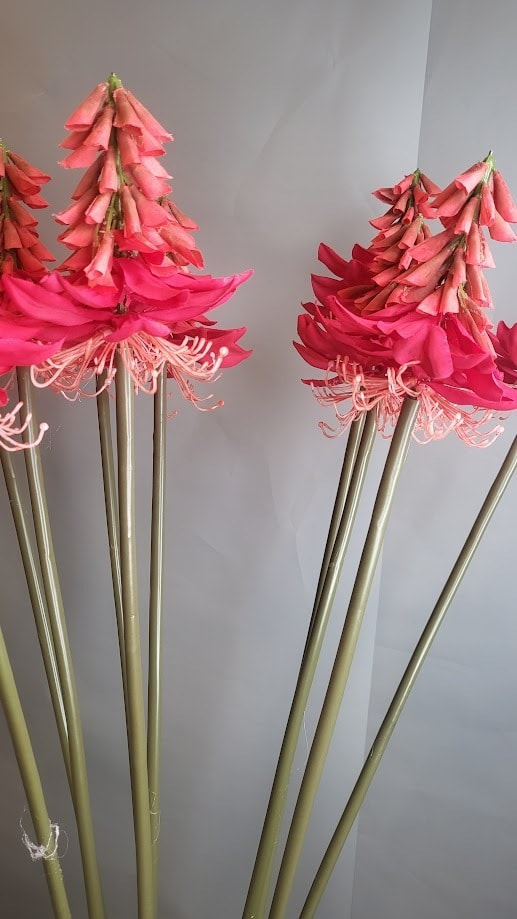 デイゴの花　造花　西宮市