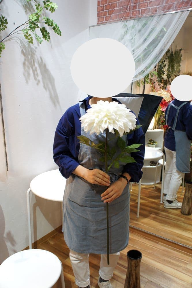 大輪ダリア　オーダーメイド