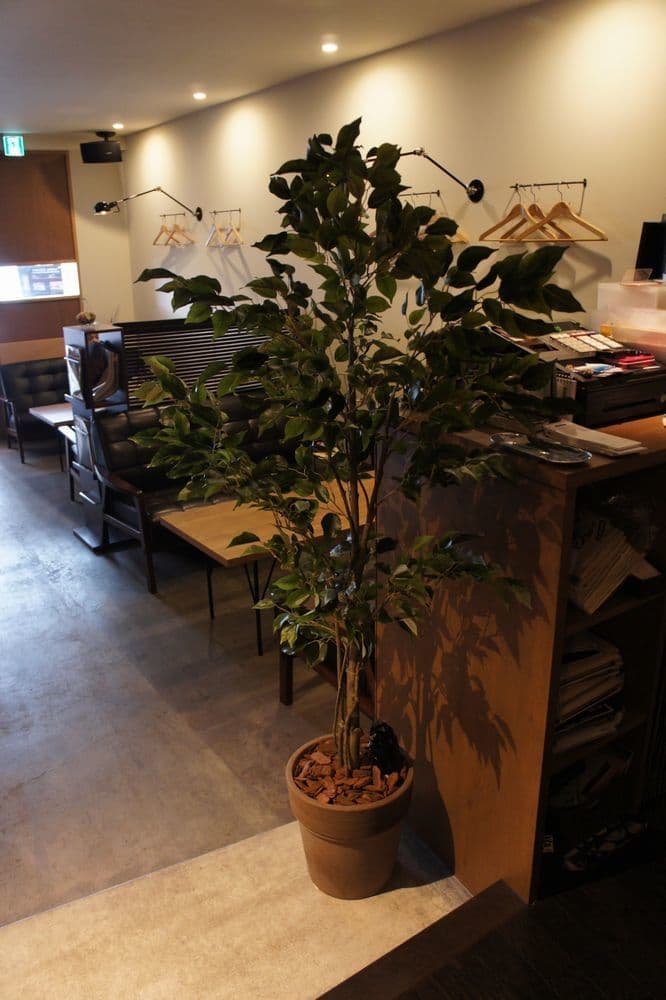 観葉植物　造花　アーティフィシャルフラワー　高級造花専門店アンクラフトは１級フラワー装飾技能士がアーティフィシャルフラワー（造花）でアレンジメント、成人式髪飾り、花の資材・材料を取り揃えオーダーメイドで制作造花販売店。結婚記念日やお見舞い、花言葉に合わせた贈り物や開店花、待合室用、応接用花、個性的、大人可愛い等、お悩みの方はお問い合わせください。阪神電車、鳴尾・武庫川女子大駅。大阪、兵庫県、関西、西宮の隠れ家地下１階店舗です。