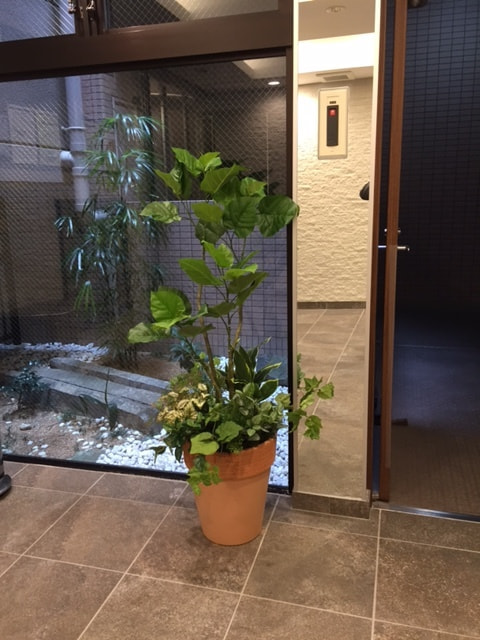 高級造花専門店アンクラフトは１級フラワー装飾技能士がアーティフィシャルフラワー（造花）でアレンジメント、成人式髪飾り、花の資材・材料を取り揃えオーダーメイドで制作造花販売店。結婚記念日やお見舞い、花言葉に合わせた贈り物や開店花、待合室用、応接用花、個性的、大人可愛い等、お悩みの方はお問い合わせください。阪神電車、鳴尾・武庫川女子大駅。大阪、兵庫県、関西、西宮の隠れ家地下１階店舗です。