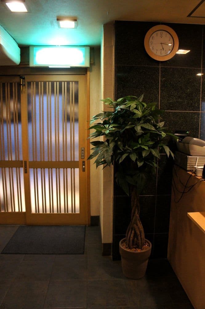 パキラ　アーティフィシャルフラワー　造花