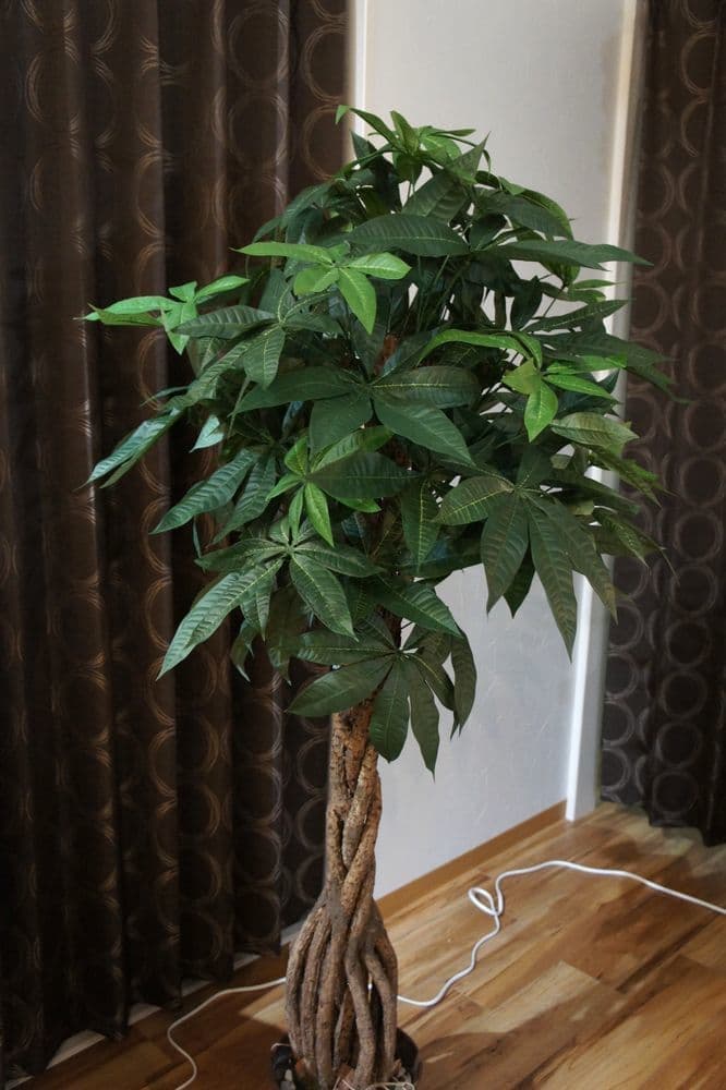 パキラ　アーティフィシャルフラワー　造花